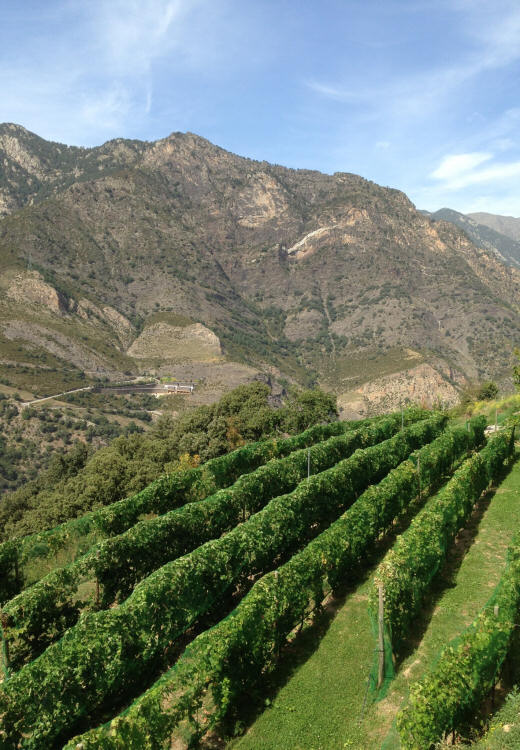 auvinyà, andorra sant julia de loria